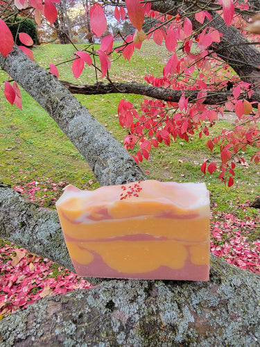 Handmade Soap- Cranberry Orange (Custom Blend)