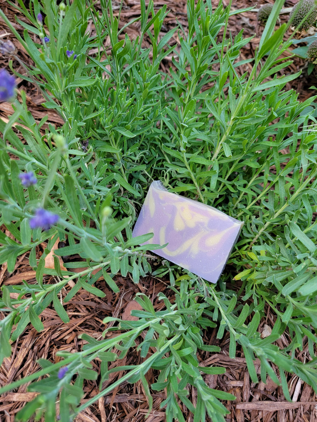 Handmade Soap-Lavender Lemon with Goats Milk